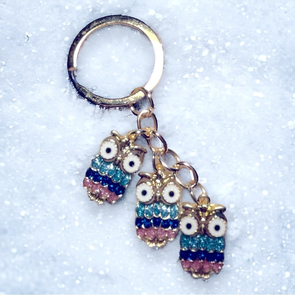 🦉❤️Owl Keychain/Bag Charm NWT❤️🦉